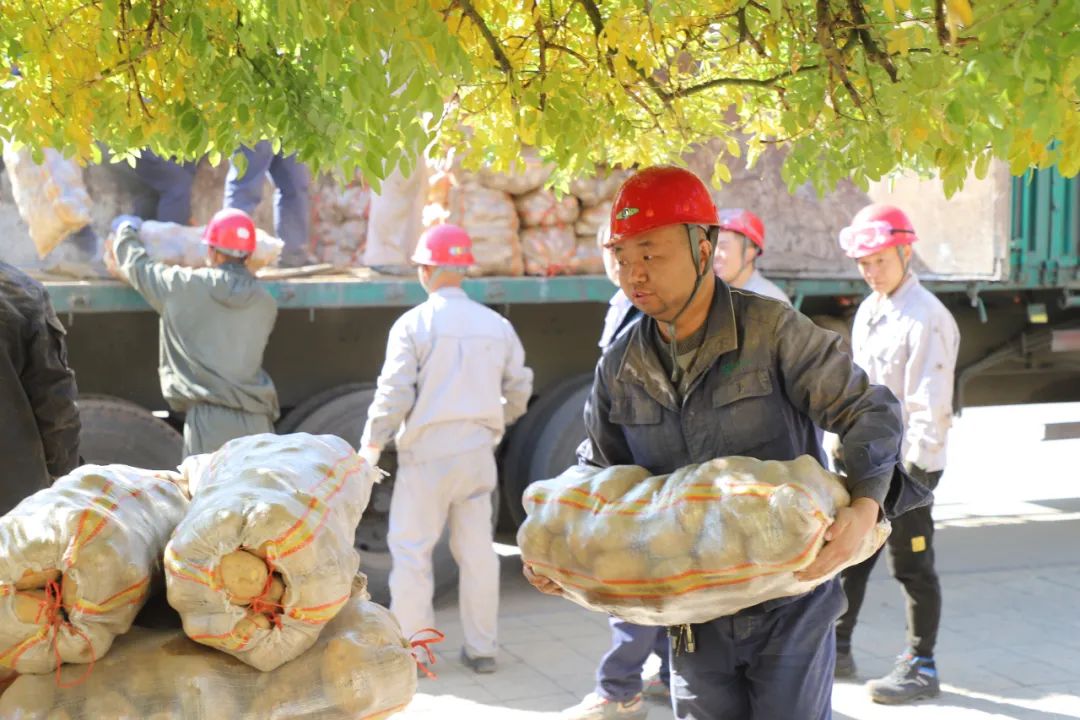平凡的幸福——公司将土豆装入员工菜篮子