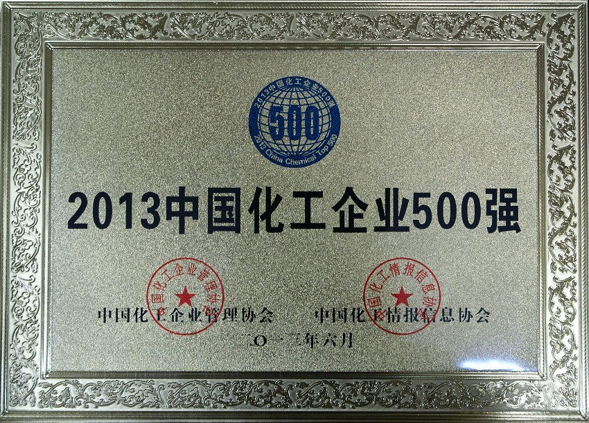 2013年中国化工企业500强